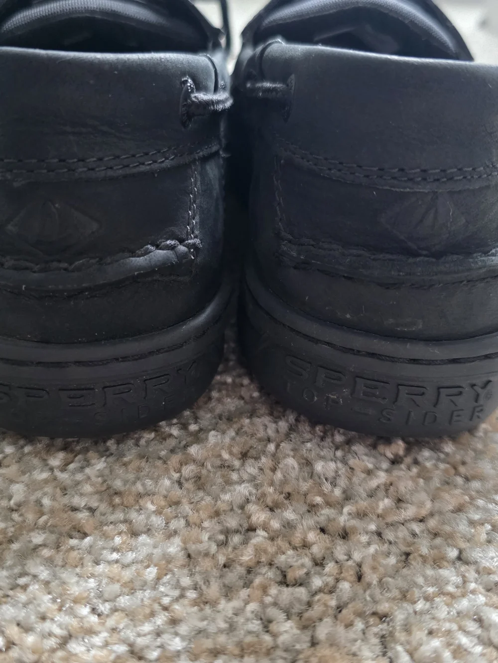 Sperry mens size